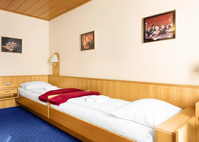 Hotel-pension Wild Hotel