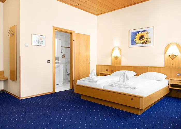 Hotel Hotel-pension Wild 3*