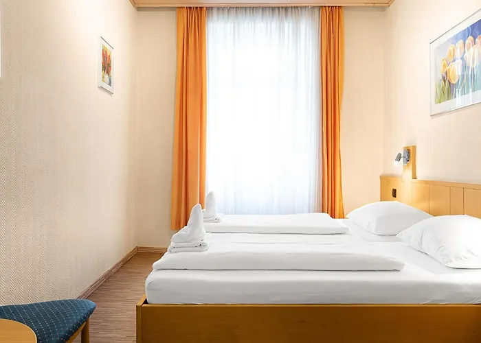 Hotel-pension Wild Hotel