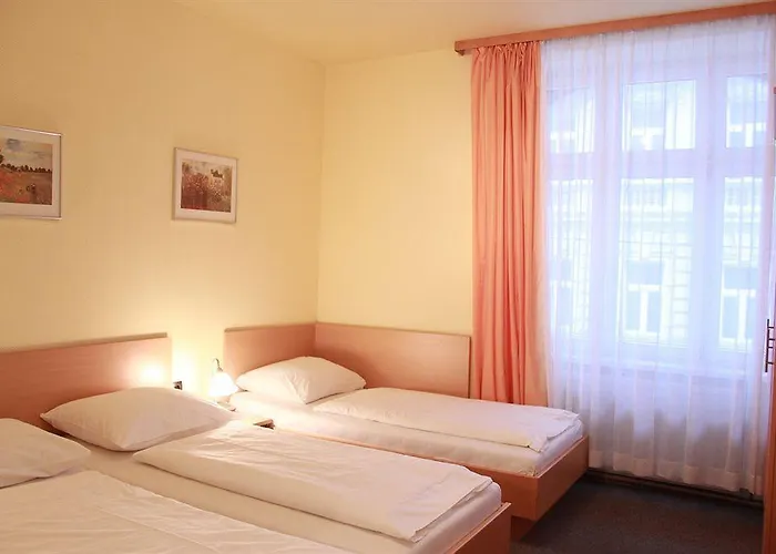 Hotel Hotel-pension Wild 3*