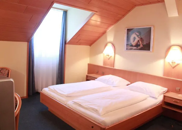 Hotel-pension Wild 3*