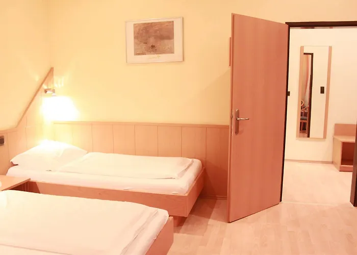 Hotel-pension Wild Hotel